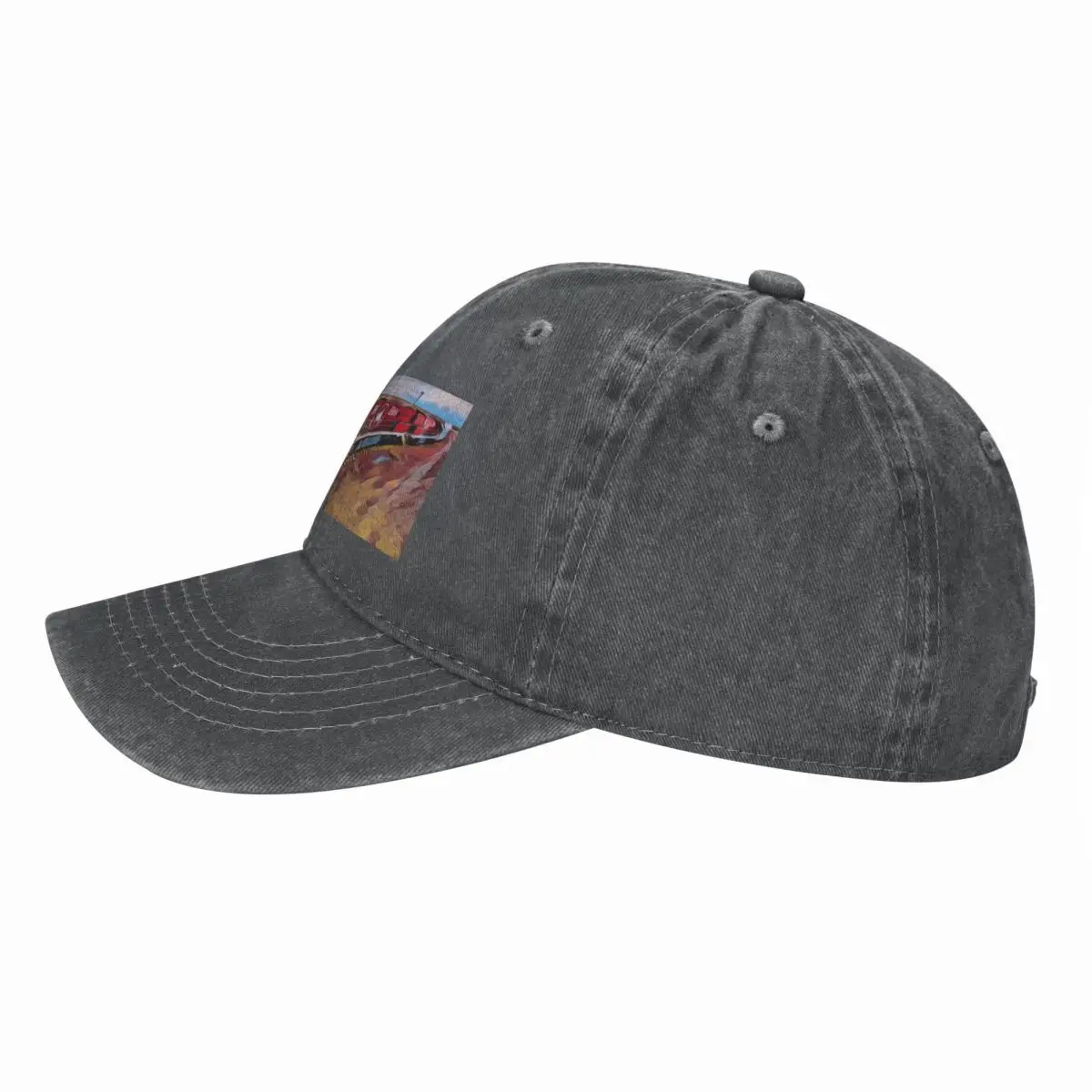 The Ghan Train Australia 야구 모자 - Cap Streetwear Brand 리뷰 및 가격
